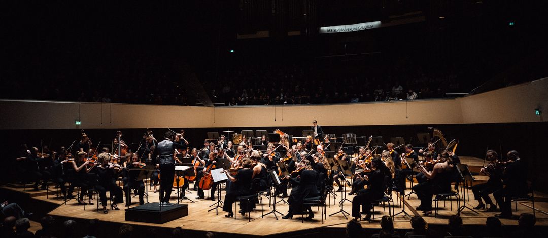 Musiker:innen des Orchesters während eines Konzerts im Gewandhaus